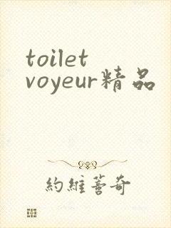 toilet voyeur精品封面