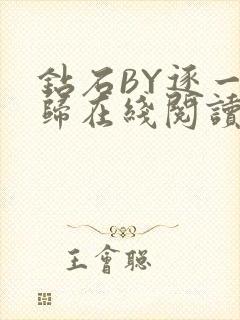 钻石BY逐一而归在线阅读