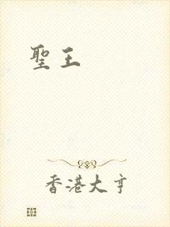 圣王封面