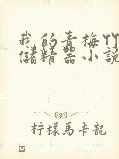 我的青梅竹马是储精器小说