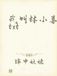 我叫林小喜小说txt