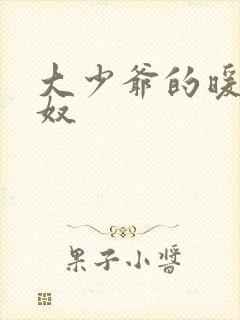 大少爷的暖床小奴