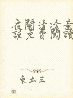 夜阑清冷意欢小说免费阅读封面