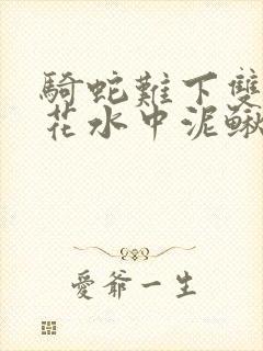 骑蛇难下双金银花水中泥鳅双男主封面