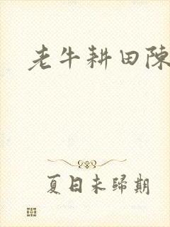 老牛耕田陈雪