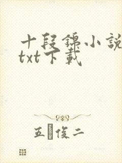 十段锦小说全本txt下载
