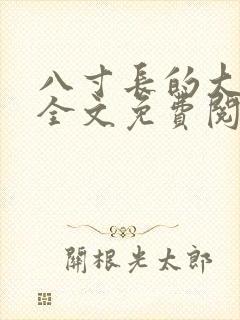 八寸长的大宝贝全文免费阅读