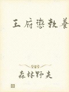 王府惩教养日常