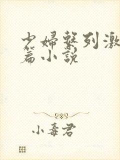 少妇系列激情短篇小说封面