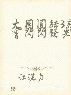 大团圆结3亲情会闪闪发光封面