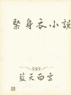 紧身衣小说