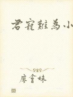 君宠难为小说封面