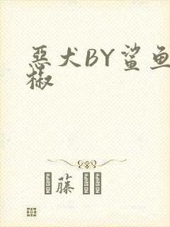 恶犬BY鲨鱼辣椒封面