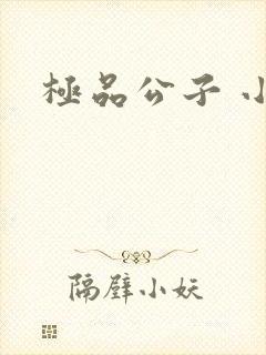 极品公子 小说封面