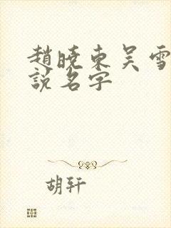 赵晓东吴雪晴小说名字