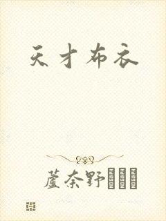 天才布衣封面