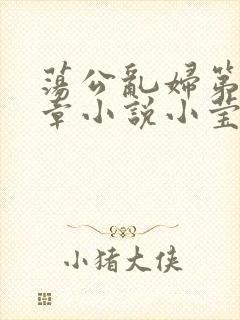 荡公乱妇第51章小说小莹