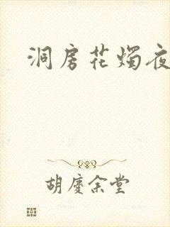 洞房花烛夜小说
