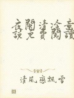 夜阑清冷意欢小说免费阅读