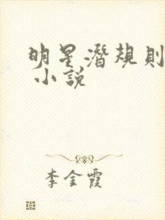 明星潜规则之皇 小说封面