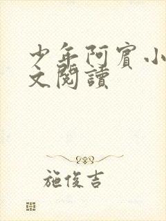 少年阿宾小说全文阅读