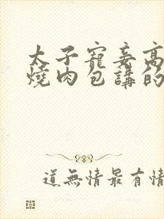 太子宠妾高肉红烧肉包讲的什么封面