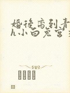 婚后脔到青梅哭h小白兔宫交h