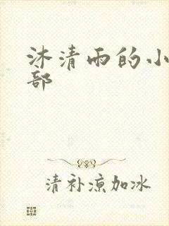 沐清雨的小说全部