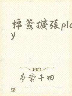 棉签扩张play封面