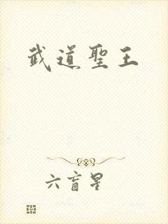 武道圣王