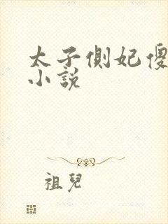 太子侧妃傻乎乎小说