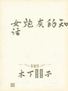 女炮灰的知青生活