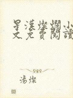 星汉灿烂小说全文免费阅读