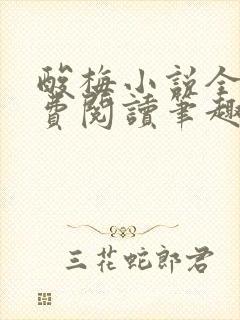 酸梅小说全文免费阅读笔趣阁