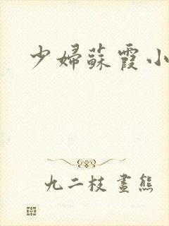 少妇苏霞小说封面