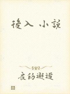 后入 小说