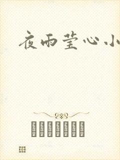 夜雨莹心小说