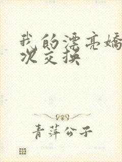 我的漂亮娇妻初次交换