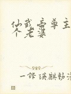 仙武帝尊主角几个老婆