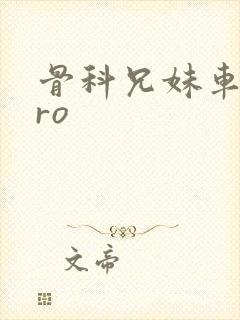 骨科兄妹车多pro