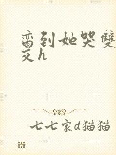 脔到她哭双根宫交h