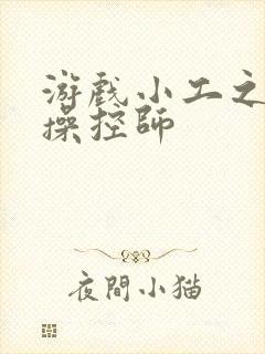 游戏小工之元素操控师封面