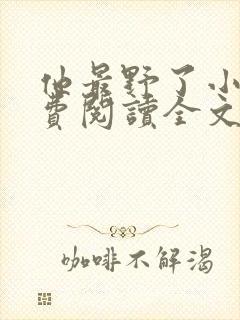 他最野了小说免费阅读全文封面