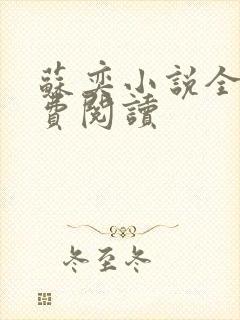 苏奕小说全文免费阅读