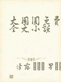 大团圆免费阅读全文小说