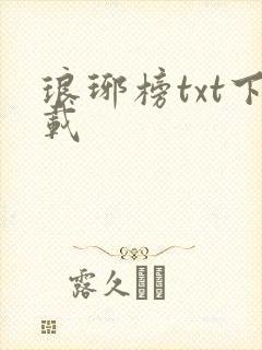 琅琊榜txt下载