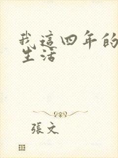 我这四年的奴隶生活封面