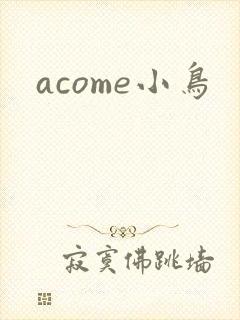 acome小鸟封面
