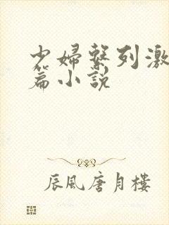 少妇系列激情短篇小说封面