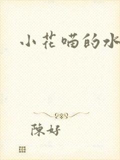 小花喵的水蜜桃封面